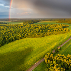 Курганская область