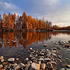 Амурская область