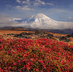 Камчатский край