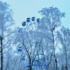 Омская область